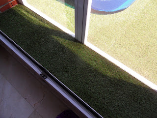 Mis enredos, pensamientos y actividades: Instalación de césped