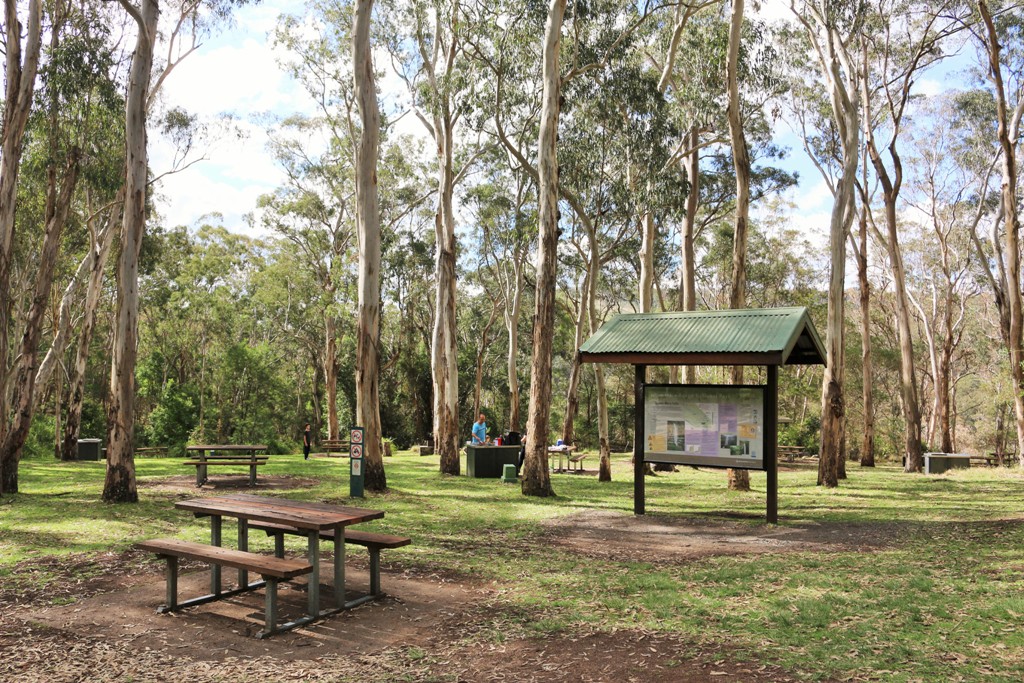 National Park Odyssey Spring Creek Road Scenic Drive, Boonah to
