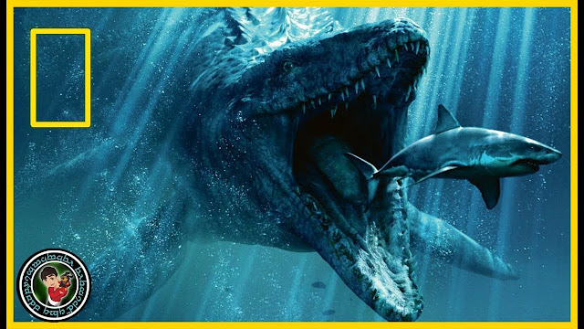 Cómo son Los Monstruos Marinos Más Grandes del Mundo - El Cómo de las Cosas