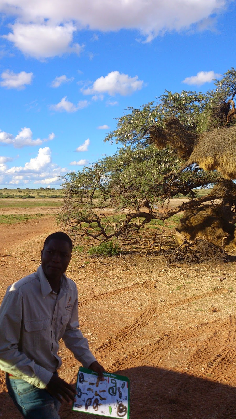 Mischas Reiseseite Namibia Unsere Reiseroute