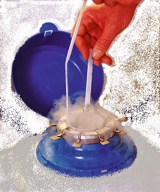 Nitrógeno líquido Nitrógeno líquido