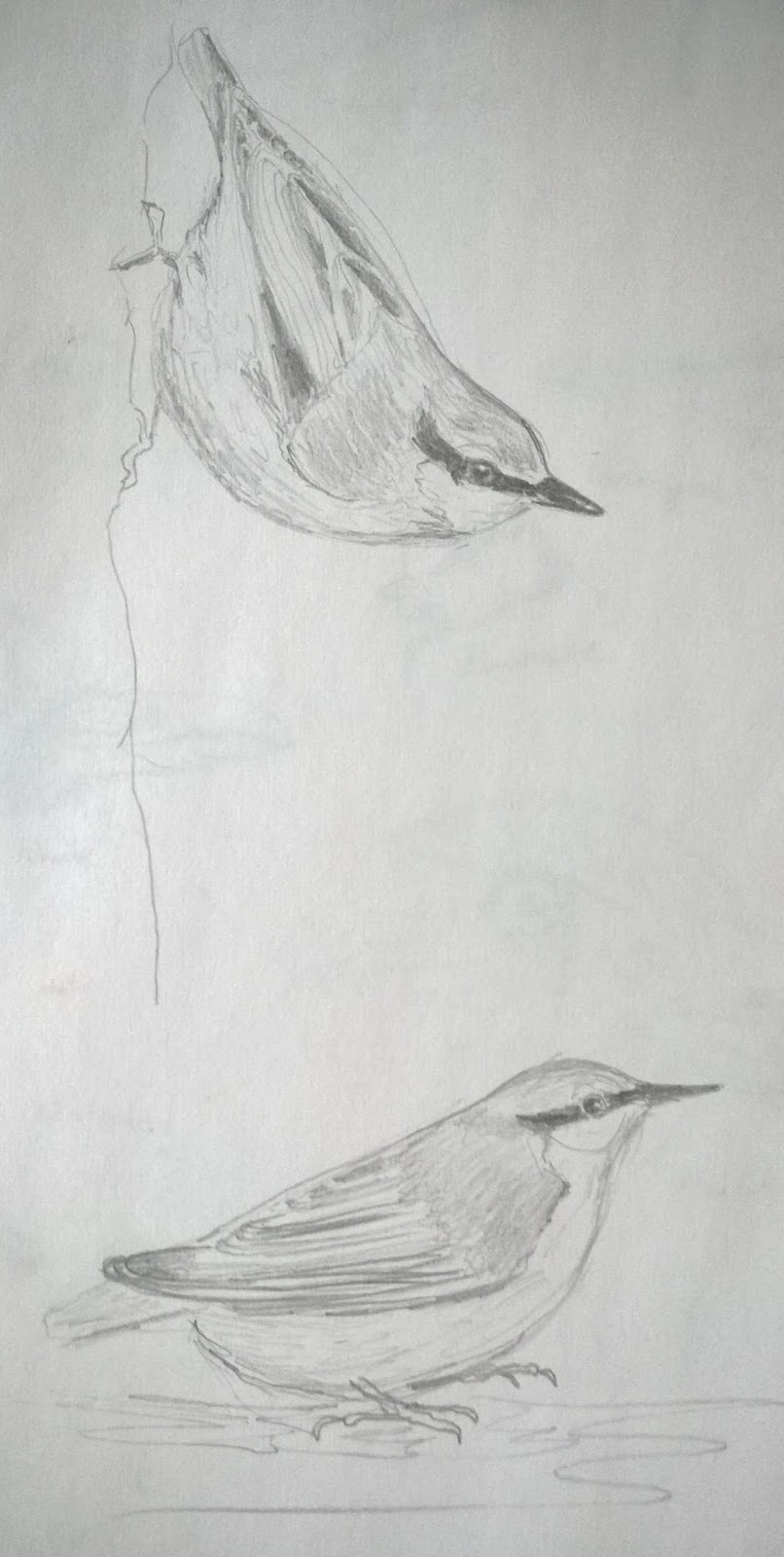 Prignitzer Kunstwerkstatt Ein Paar Skizzen Zwischendurch