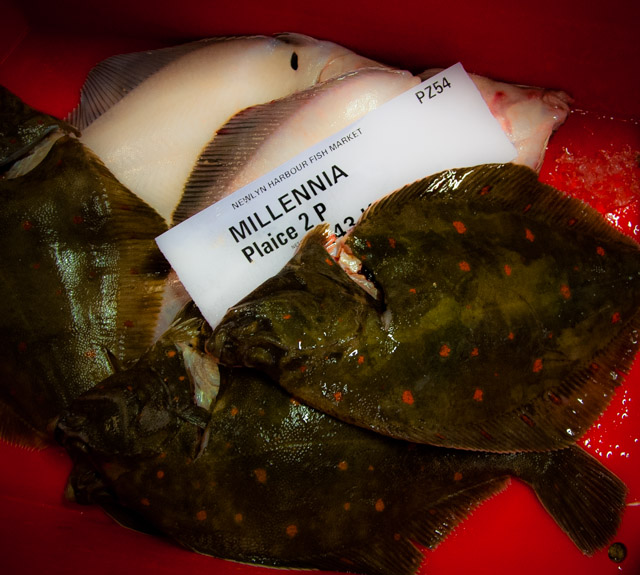 Through the Gaps! - Newlyn Fishing News: #FishyFriday is here again! Cornwall UK fish commercial ...