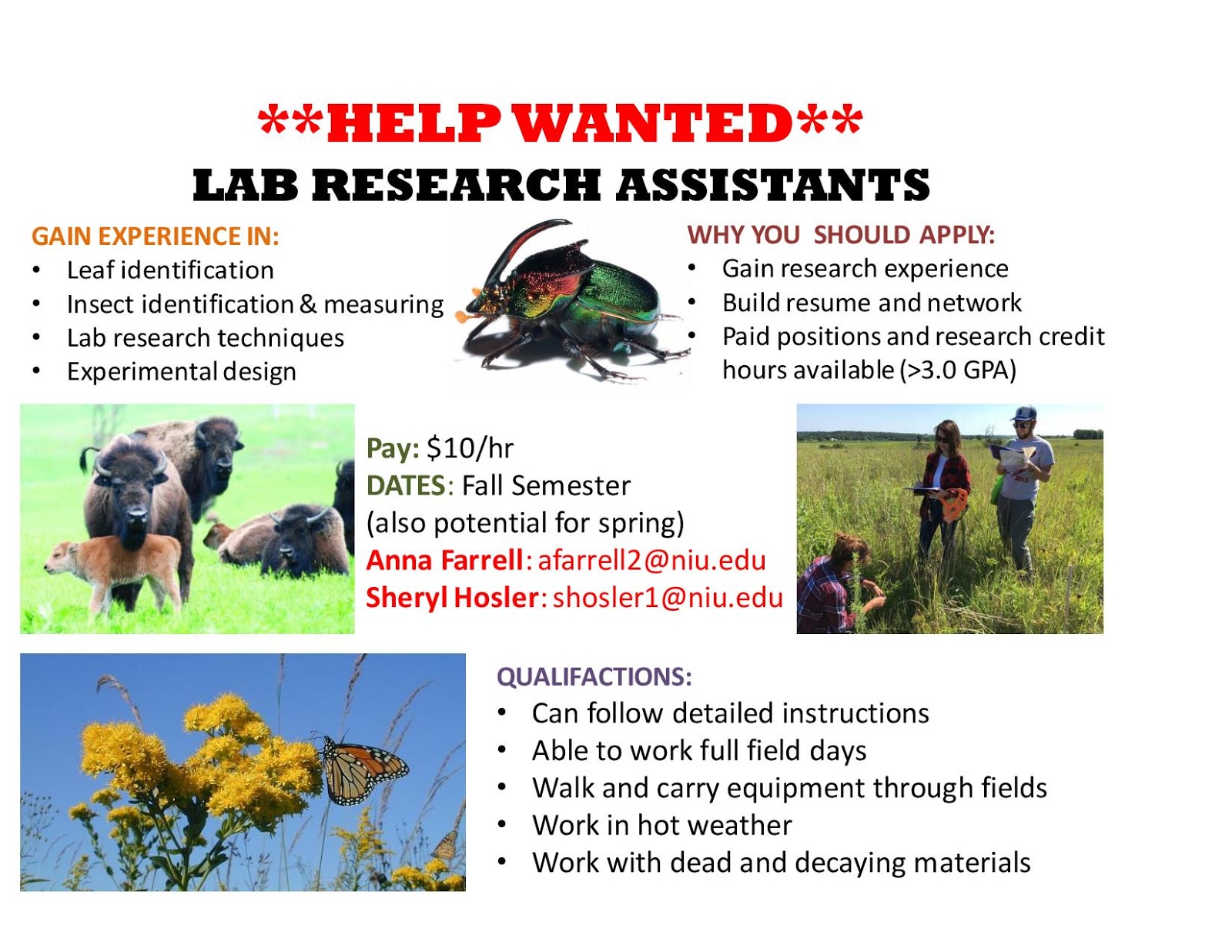 Environmental Studies Student News Lab Research Assistants Wanted