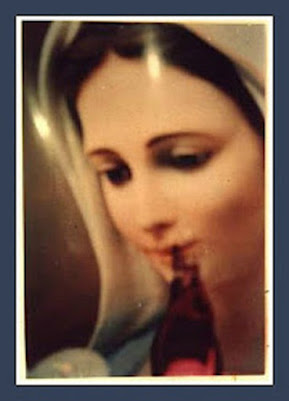 Jacarei, November, 15th, 1994 - HOLY FACE OF OUR LADY REVEALED AT THE JACAREÍ APPARITIONS