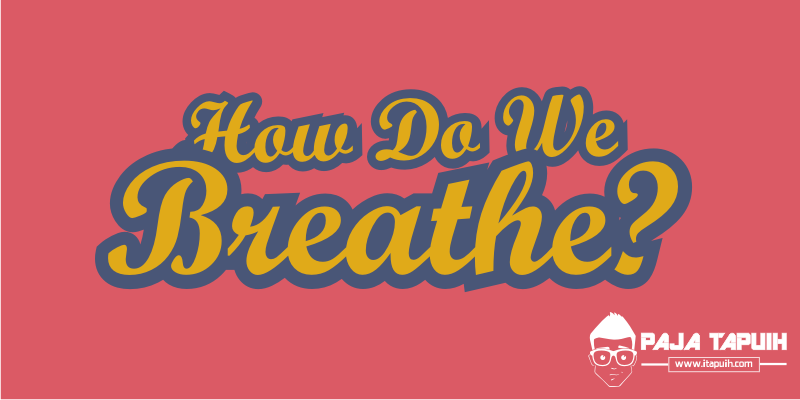Explanation: How Do We Breathe dan Terjemahannya