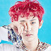 Curiosidades sobre o Chanyeol