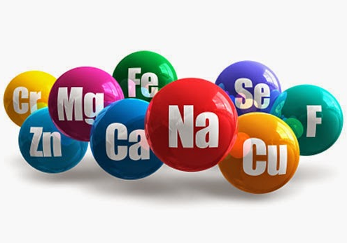 Mineral Makro Dan Mikro Jaini Loen