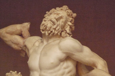 Laocoonte laocoonte closeup - Laocoonte