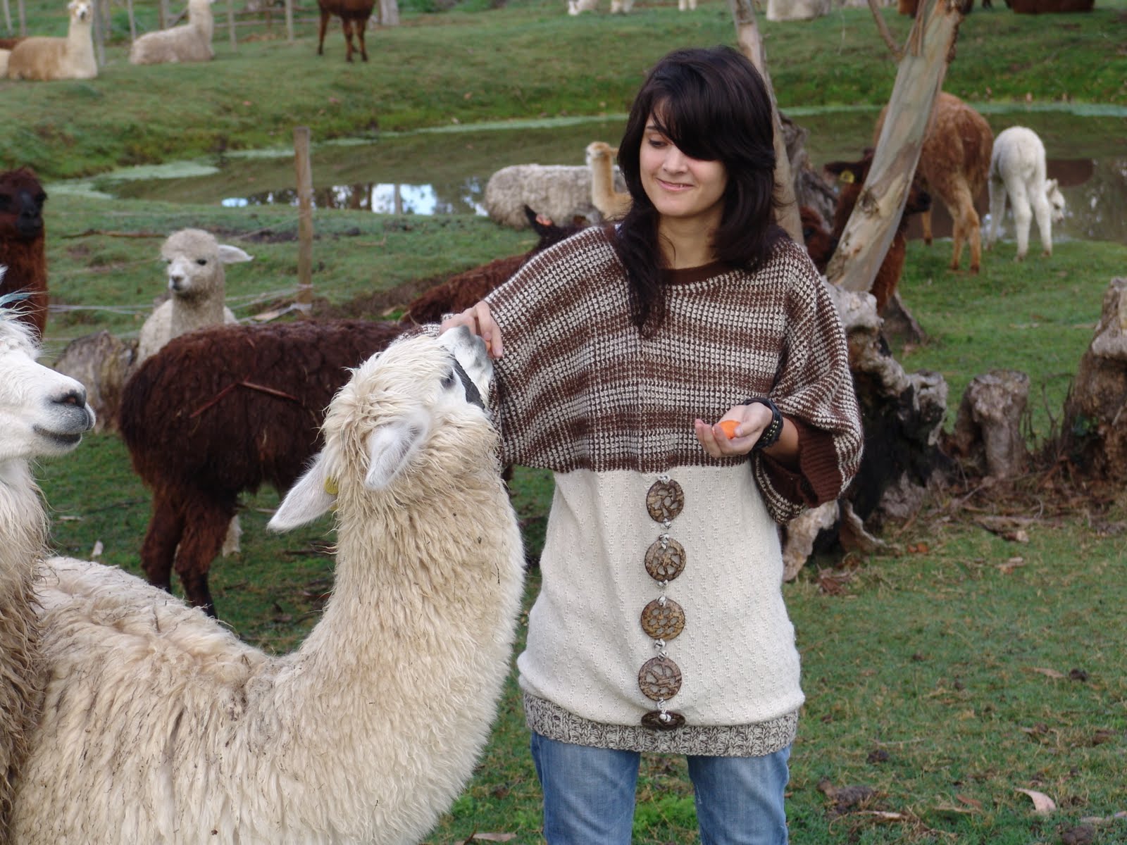 Proyectos y Realizaciones: Suéter de alpaca con prendas recicladas