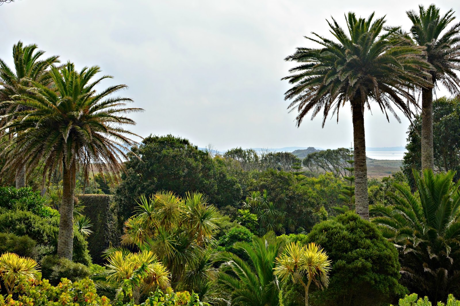 Tresco Abbey Gardens
