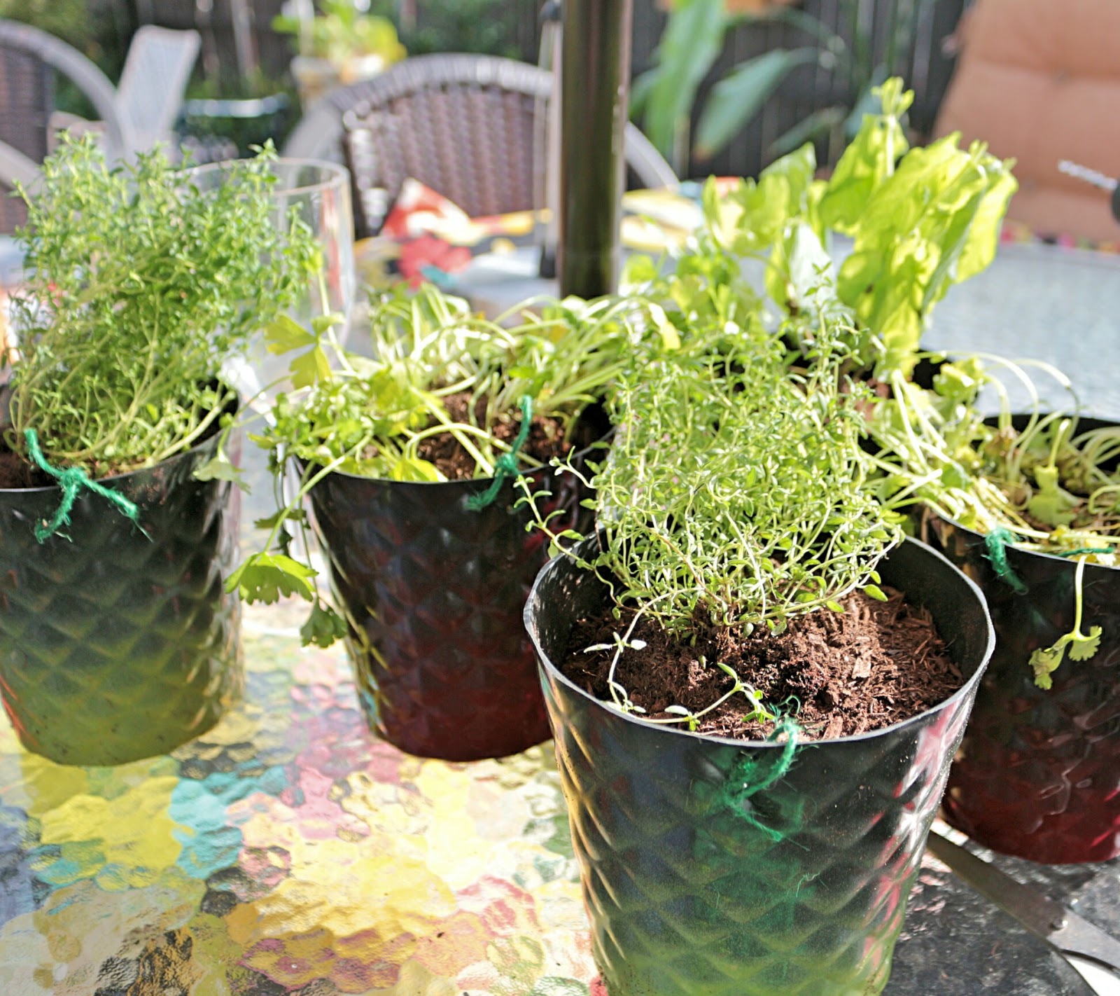 Easy Outdoor Wall Decor - Made by Carli