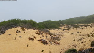 BEACH / Praia Foz dos Ouriços, Almograve, Portugal
