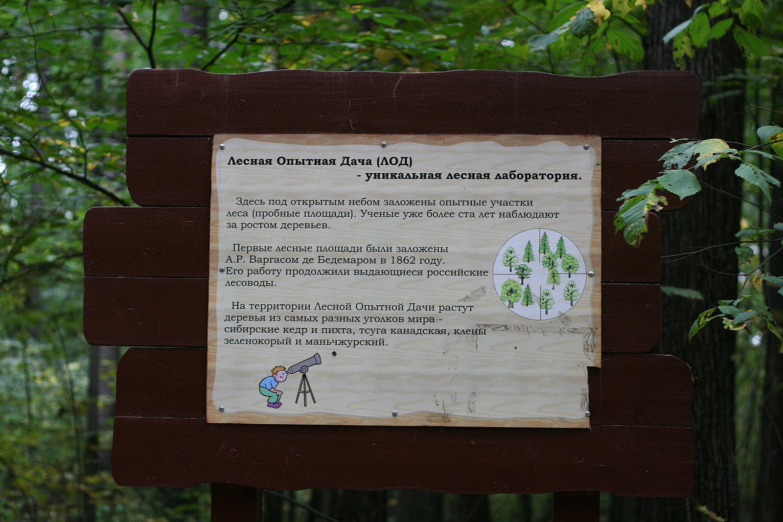 План тимирязевского парка