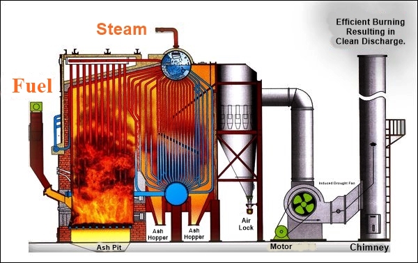 Boiler Fuels