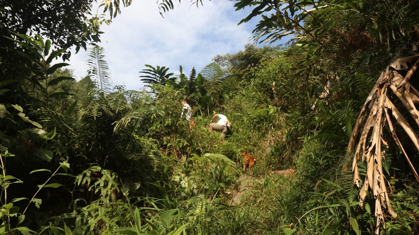 Ciasmara-Sekeping Surga yang Terlupakan II: Curug Cikawah ...