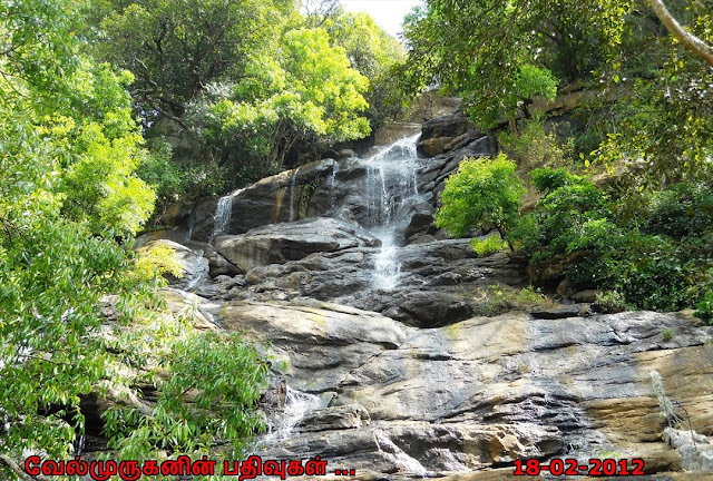 Yercaud Killiyur Waterfalls