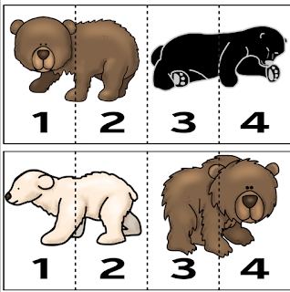 WHAT KIND OF BEAR? RIDDLE ~ Book Units by Lynn