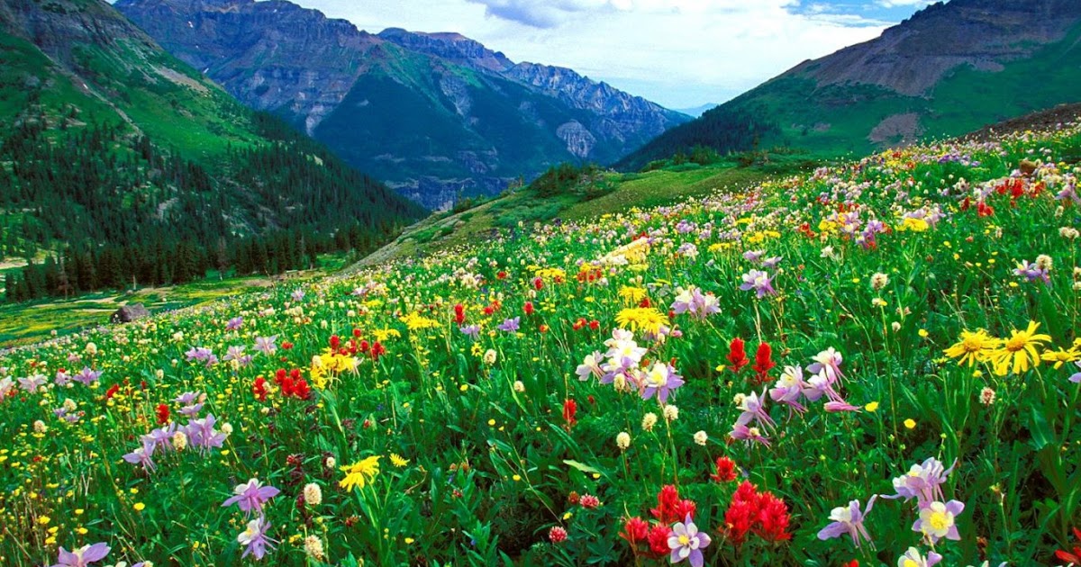 A Healing Space... reflections on love, meaning, and the aliveness of