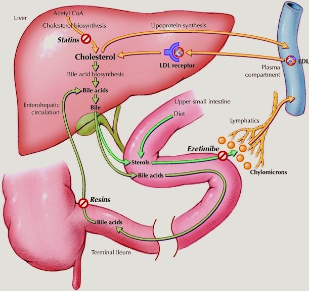 Liver function image