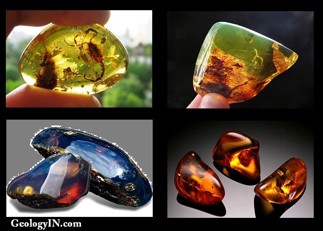 Pictures: Types of Amber