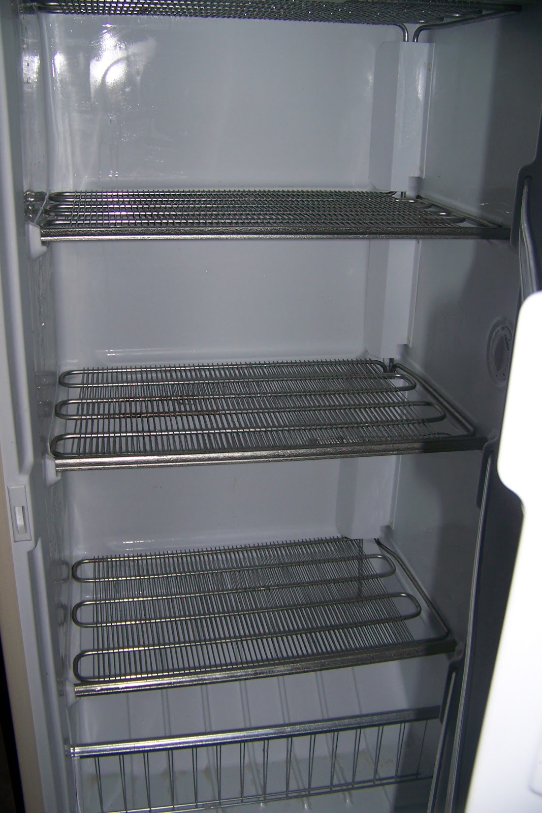 Amy's Big Little World New Old Freezer