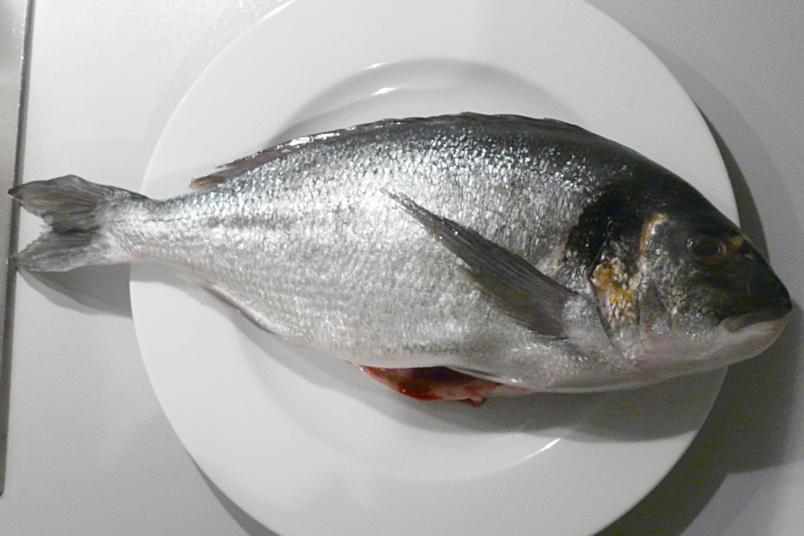 Kulinarische Welten zu Fisch- und Meeresfrucht: Dorade „cucina ...