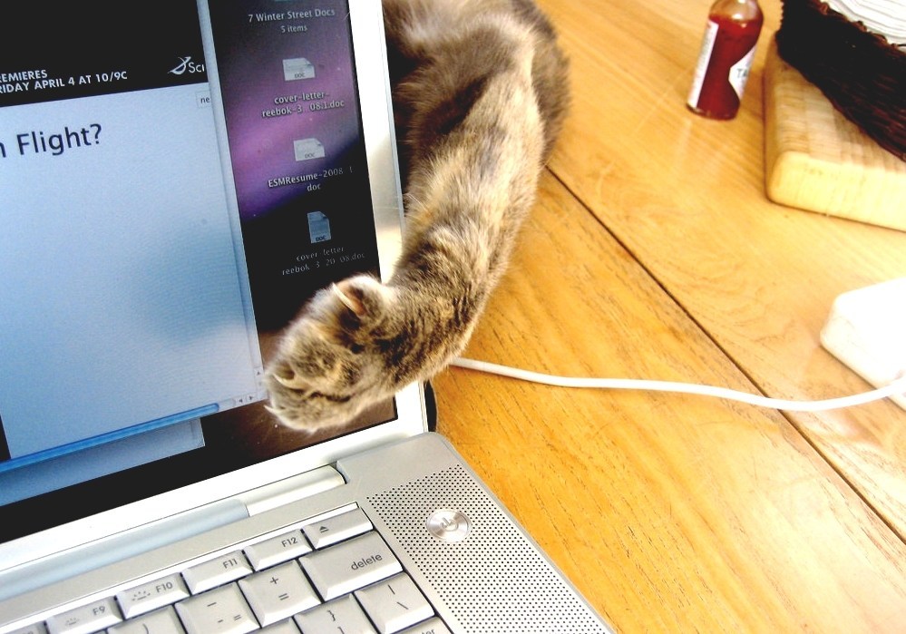 Small Dog Electronics