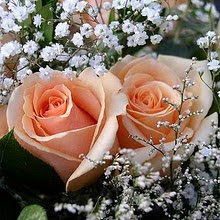 Preciosas Rosas Gracias a nuestra amiga ANAMA