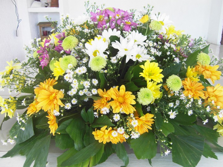 Remembering our dearly departed loved ones this All Souls' Day ♥