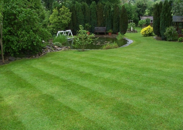 Lawn Making