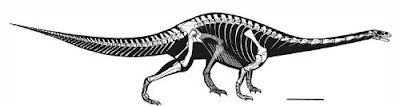 Adeopapposaurus