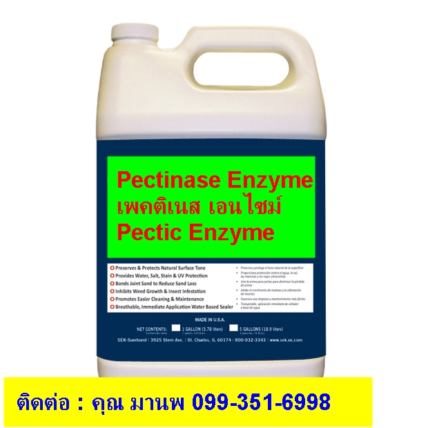 Pectinase Enzyme, Pectic Enzyme, เพคติเนส เอนไซม์ โปรโมชั่น พิเศษ