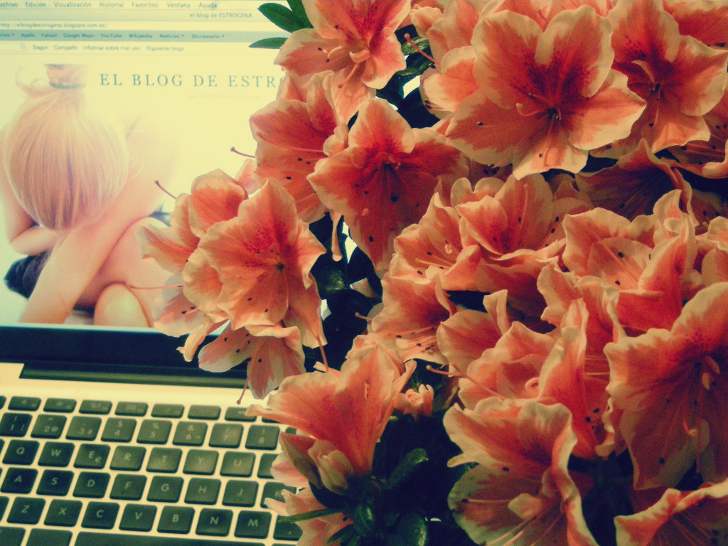 El blog de Estrógena: abril 2012