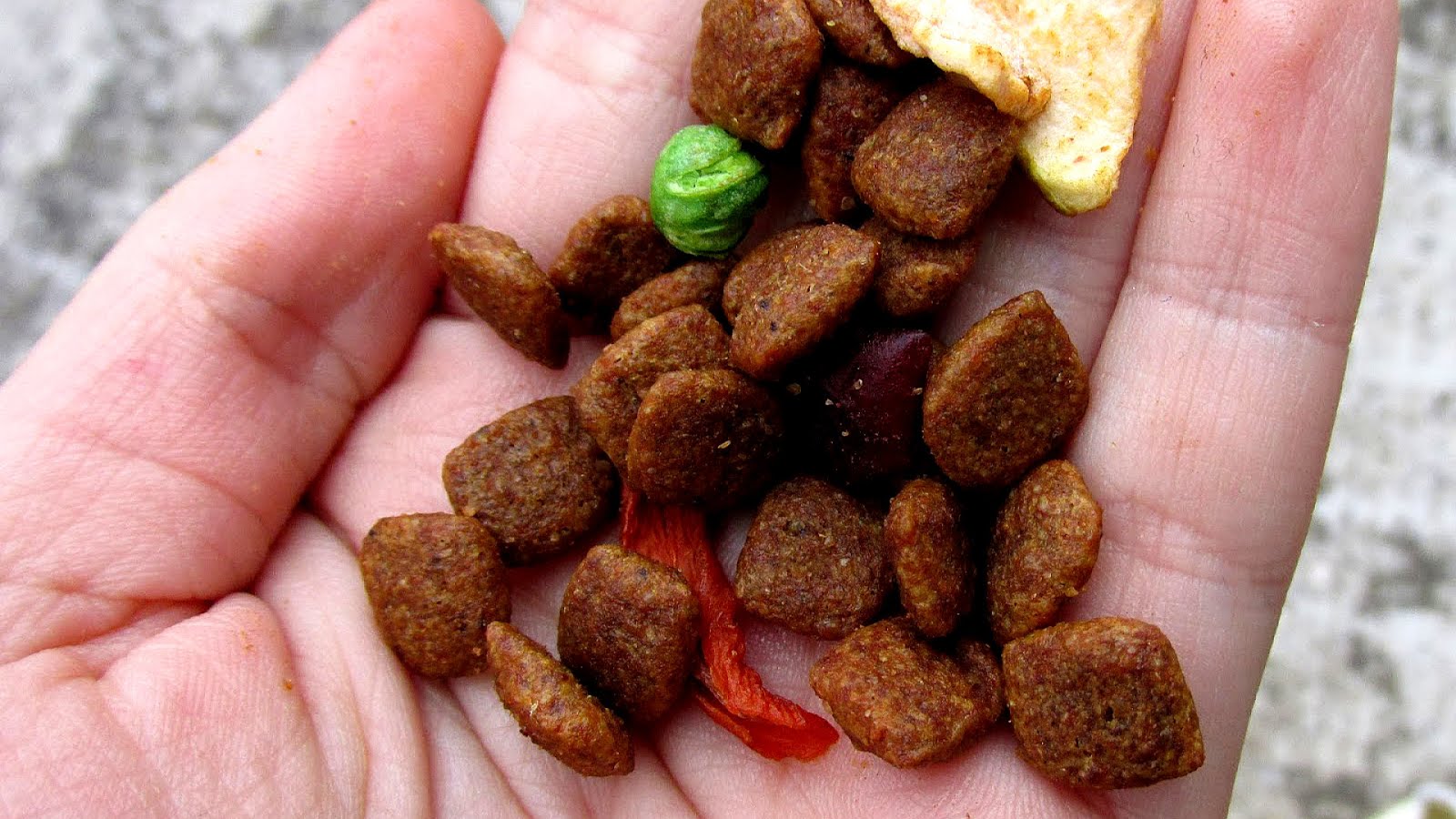 Big Heart Pet Brands Recipe Recipe Choices