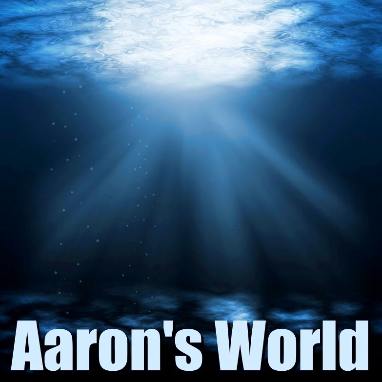 Aaron's World