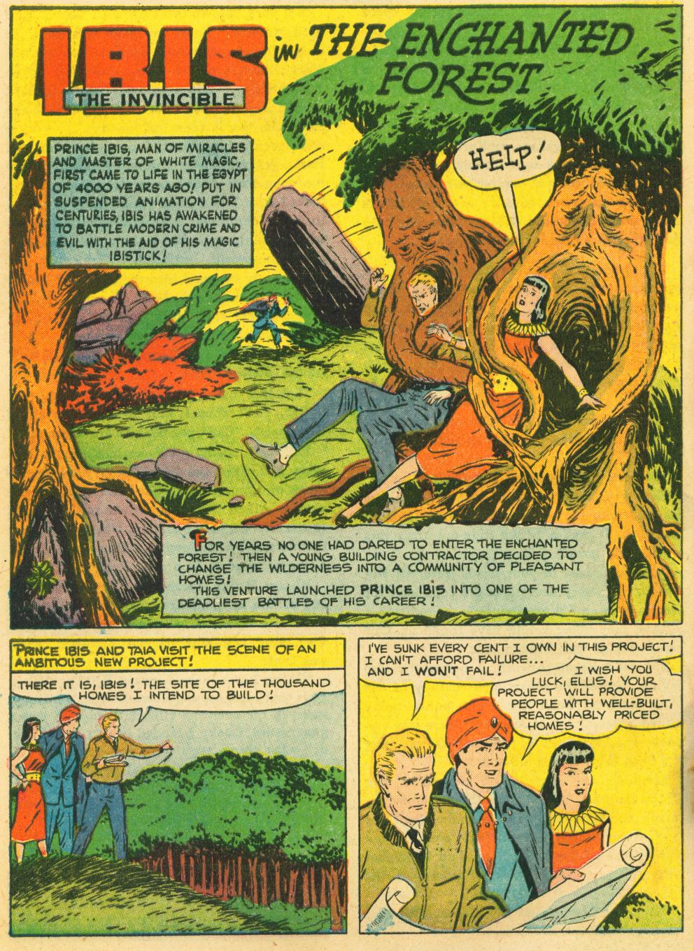 Read online WHIZ Comics comic -  Issue #144 - 28