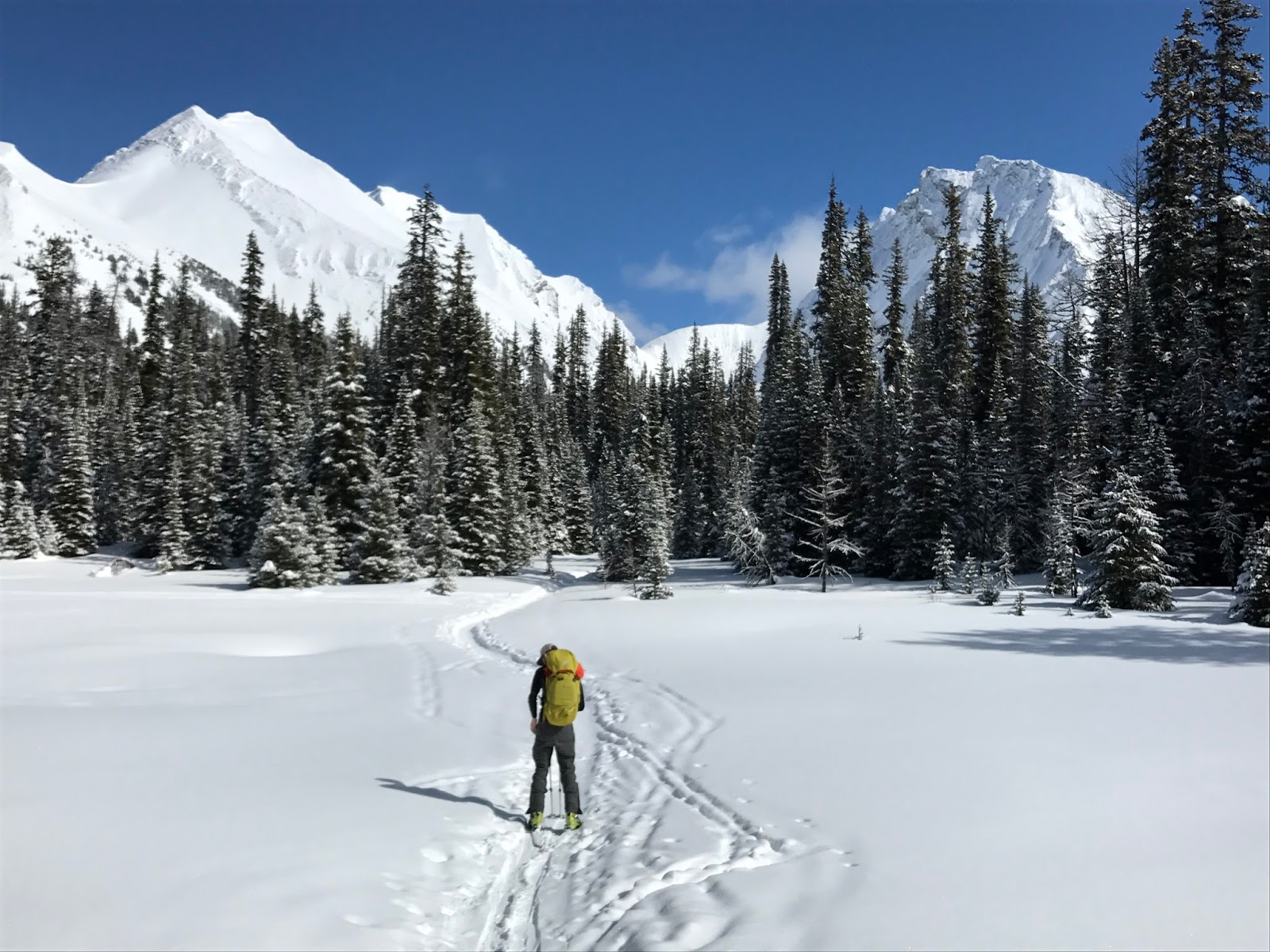 Alpine Soft Chester Lake Ski Tour