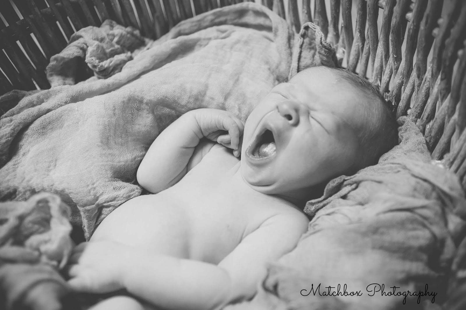 newborn photography dublin
