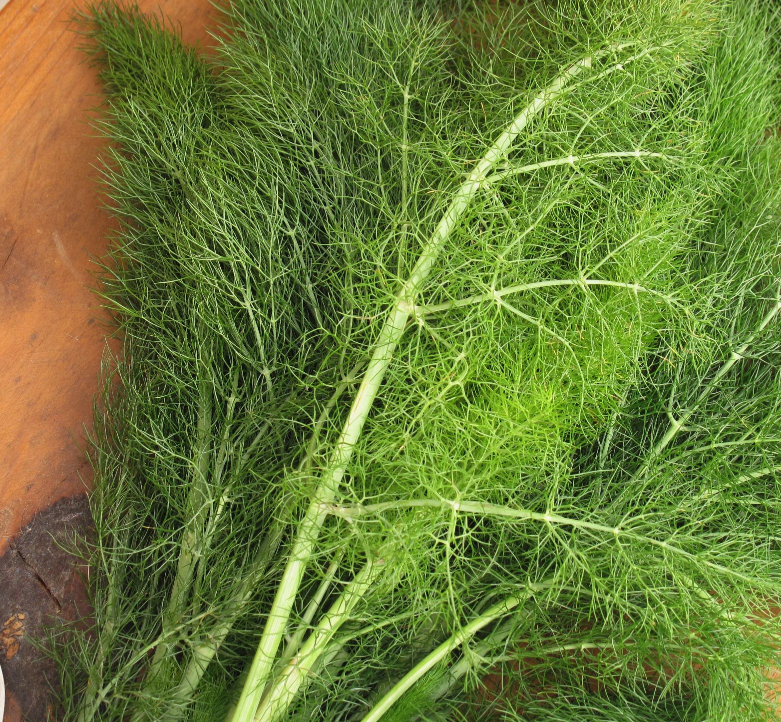 MzTasty's Kitchen, Savor The Flavor Pasta with Wild Fennel and Sausage