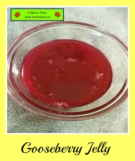 gooseberry jelly 