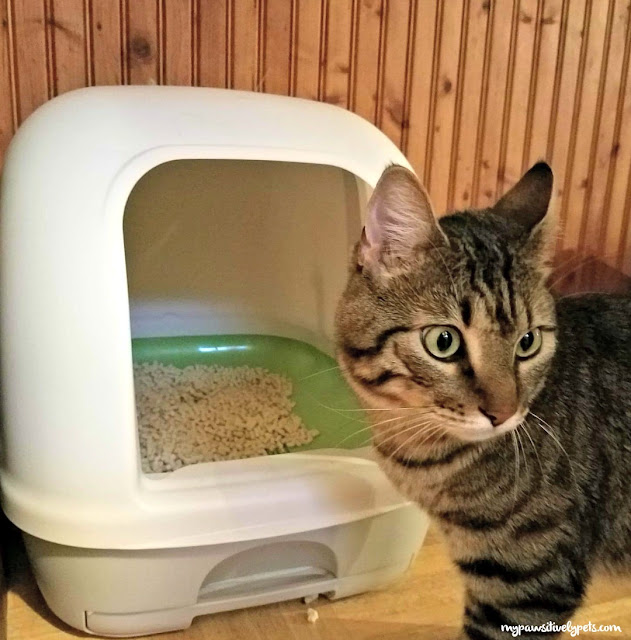 Tidy Cats Breeze Cat Litter Box System for Easy Cat Care 