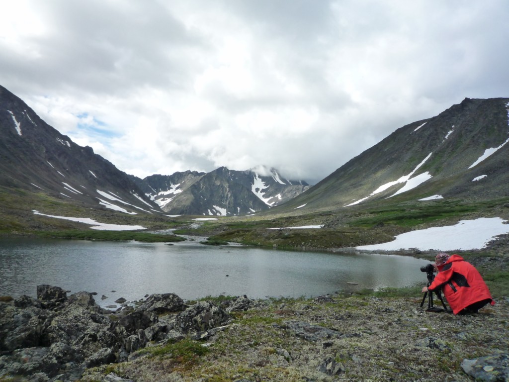 Приполярный урал фото. Приполярный поселок хмао. Гисметео приполярный. Реки югыд ва. Зимник вуктыл приполярный.