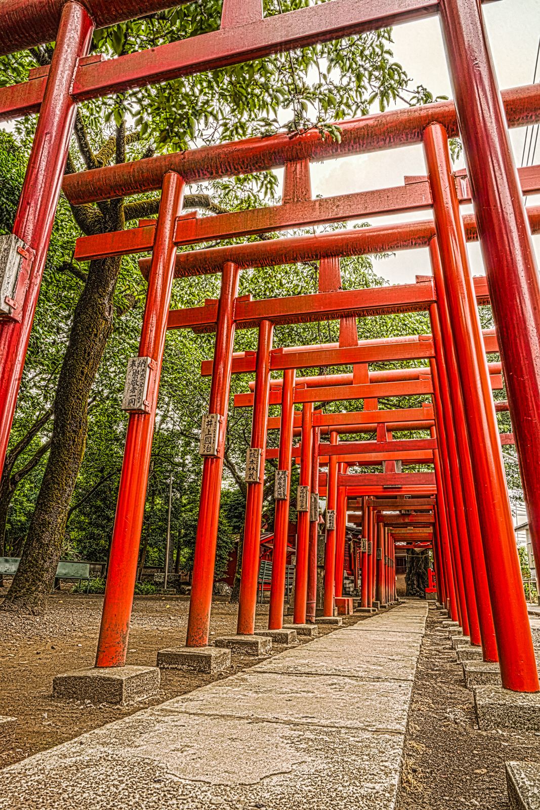 笠森稲荷神社、赤鳥居のHDR写真