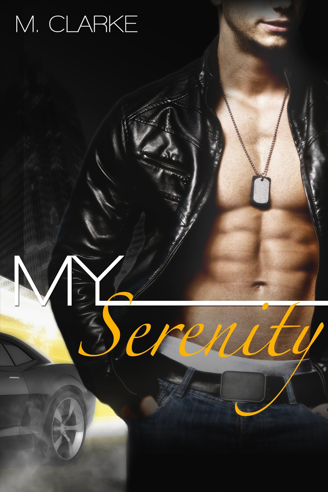 My Serenity Release Day Blitz Room With Books