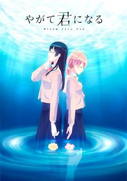 Descargar Yagate Kimi ni Naru 11/?? Sub Español Ligera 75mb - Mega - Zippy! Yagate-kimi-ni-naru