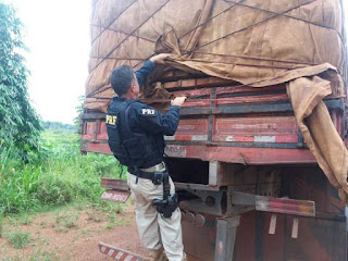 Mais de 28m³ de madeira ilegal são apreendidos pela PRF