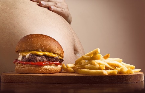 pixabay.com/en/hamburger-p-french-fries-belly-2683042