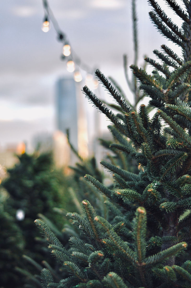 Friday Favorites Amanda's OK A Lifestyle Blog