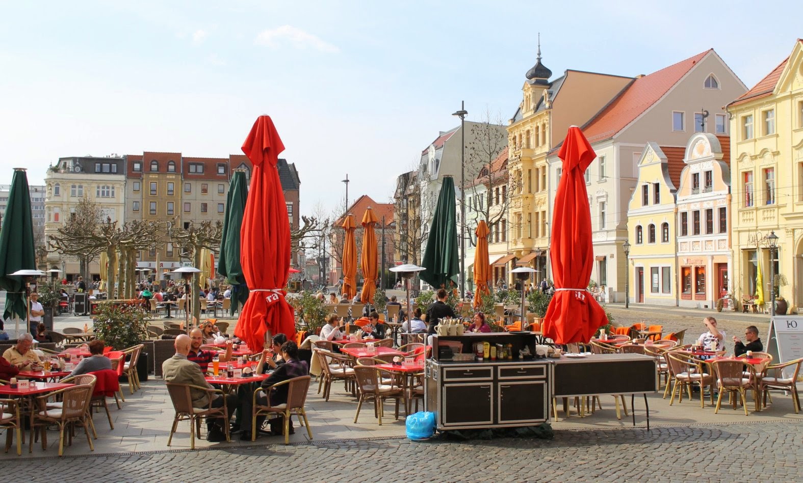 Poland Nektarina Non Profit